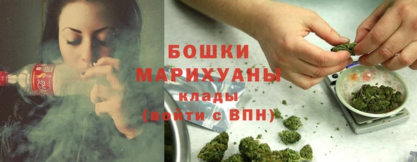 гидра Горнозаводск