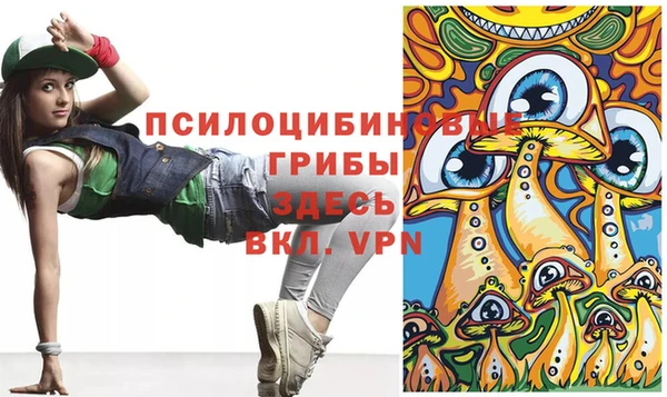гидропоника Лабытнанги