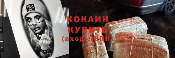 молекула духа Ладушкин