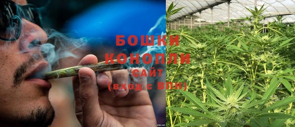 гидра Горнозаводск