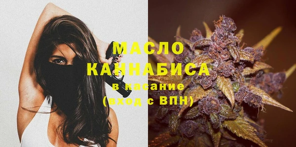 молекула духа Ладушкин