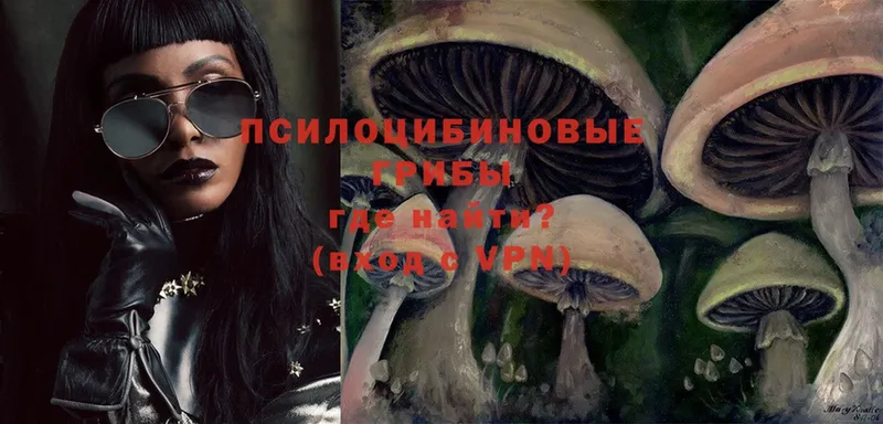 hydra как зайти  Долинск  Псилоцибиновые грибы Psilocybe 