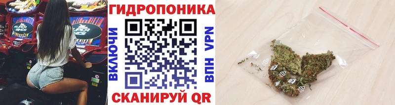 Каннабис White Widow  Долинск 